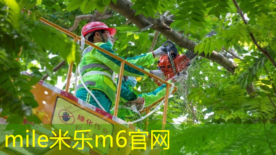 米乐：网球拍材料有什么区别
