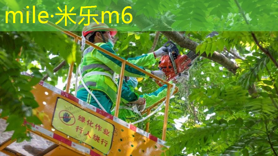 网球拍材料有什么区别